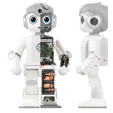 Robot éducatif humanoïde Alpha mini