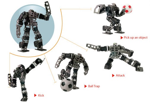 The Bioloid GP programmable humanoid robot is a mobile robot for competitions