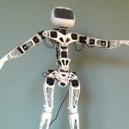 Poppy Humanoid Robot (without 3D printed parts) - Raspberry version