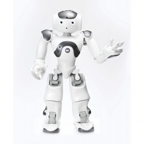 Zora Software Suite for the NAO humanoid robot